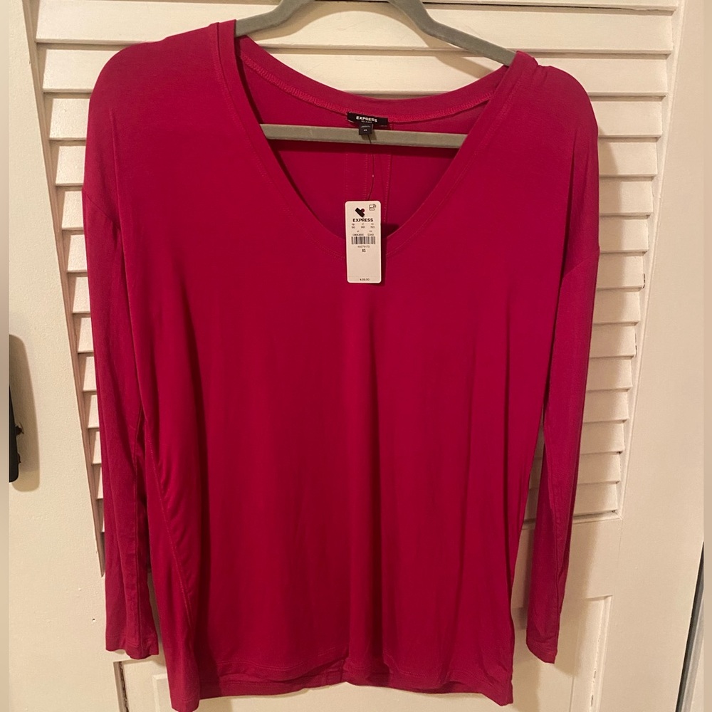 Express long sleeved magenta V neck